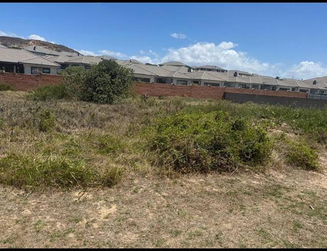 LAND FOR SALE IN DIAZ